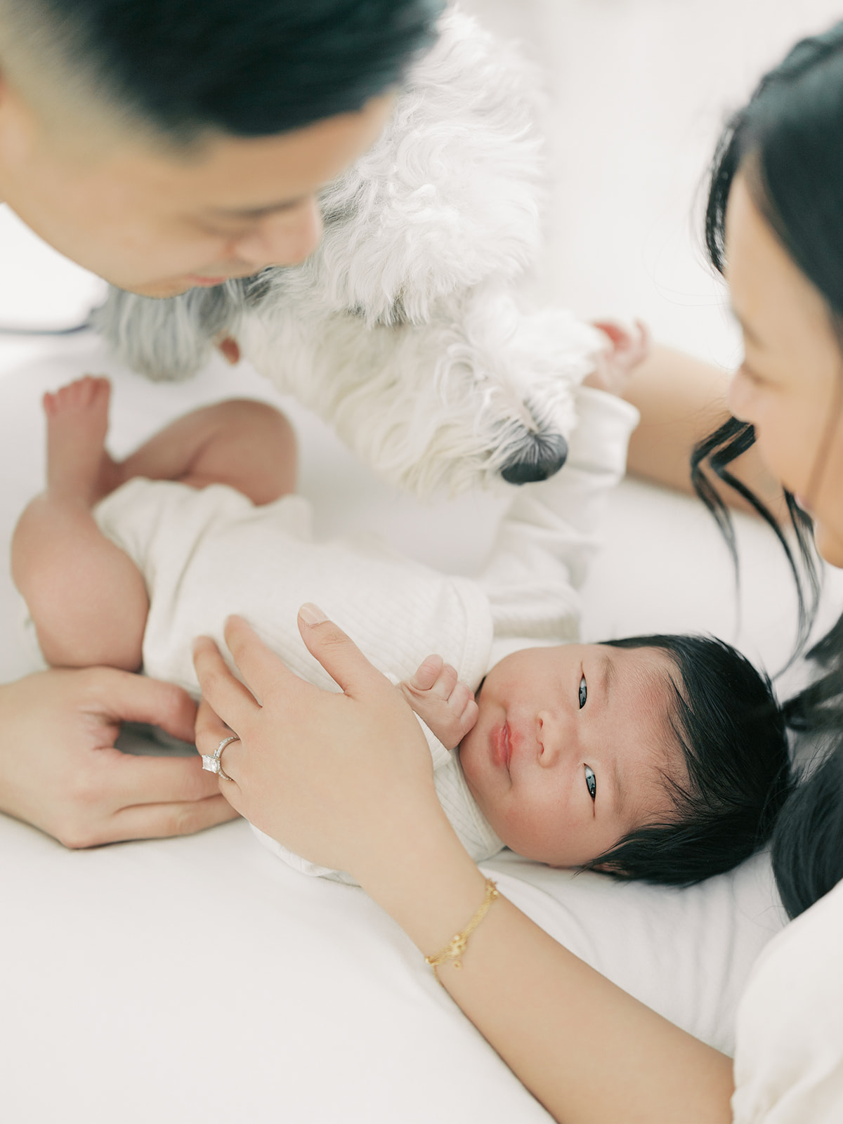 A newborn baby lays on a bed while mom, dad and dog play with it